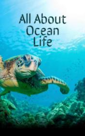 All About Ocean Life by Rachel Bladon