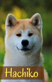 Hachiko by Nicole Irving